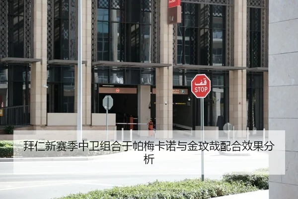 拜仁新赛季中卫组合于帕梅卡诺与金玟哉配合效果分析