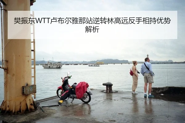 樊振东WTT卢布尔雅那站逆转林高远反手相持优势解析